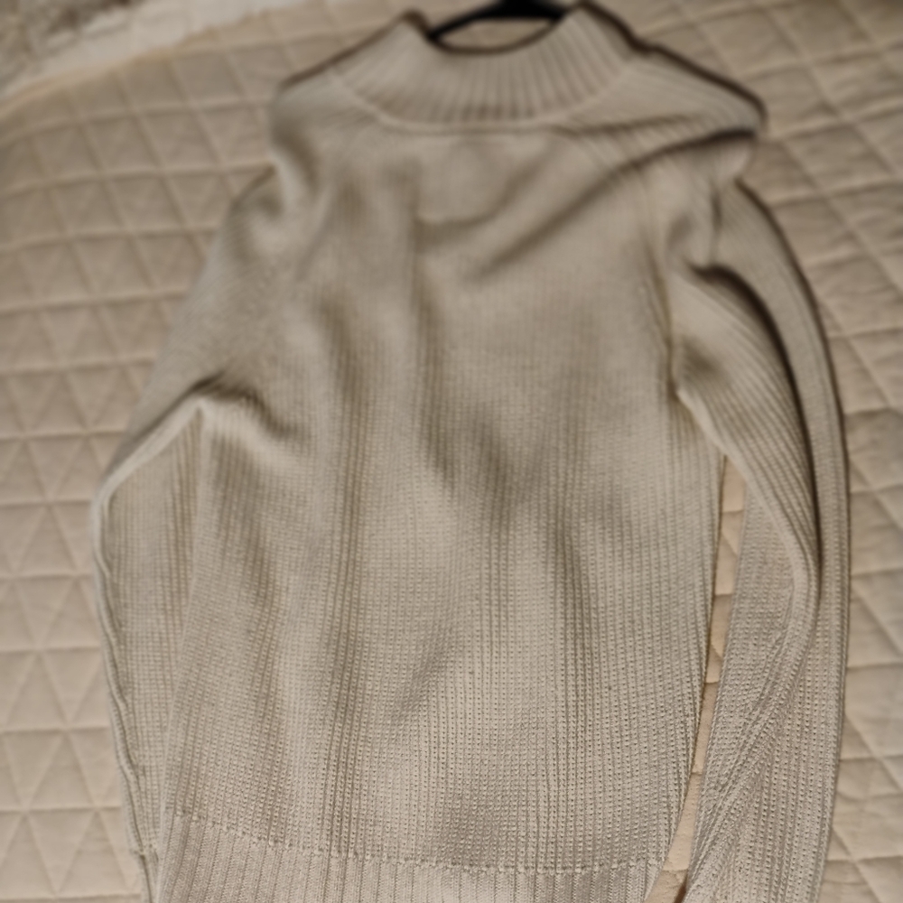 American Eagle Outfitters Cream Turtleneck Sweater Great Condition